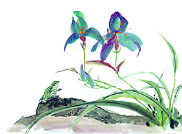 薔薇