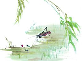 蜻蜓戲水