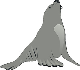 valessiobrito海獅剪貼畫