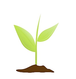 生長的植物2