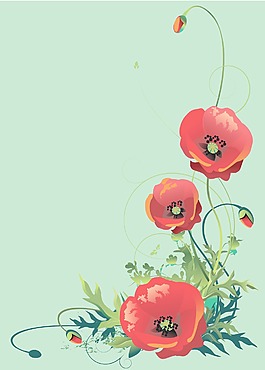 紅罌粟