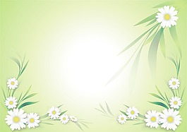 矢量花卉背景