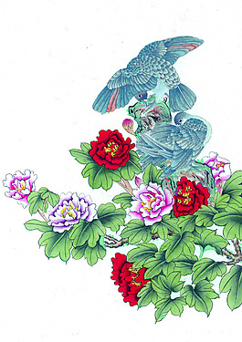 牡丹花鳥
