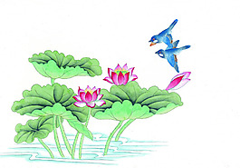 荷葉小鳥
