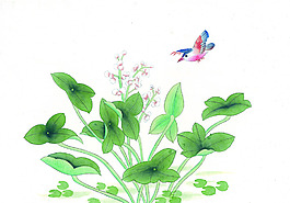 花鳥繪畫