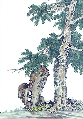 岩松