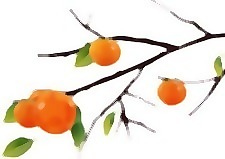 番茄3