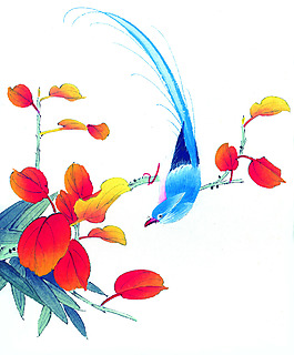 花鳥藝術