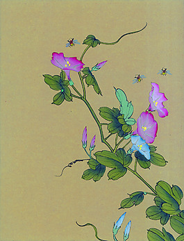 牵牛花