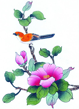花鳥蟲魚