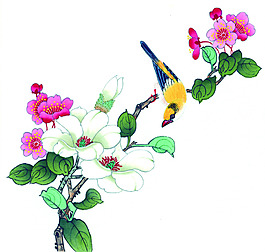 黄鹂