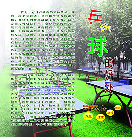 乒乓球