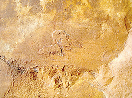 orange_rock_texture