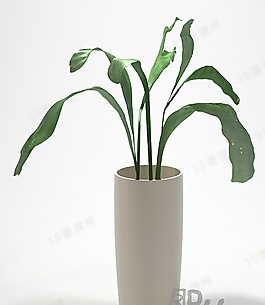 3D花瓶模型