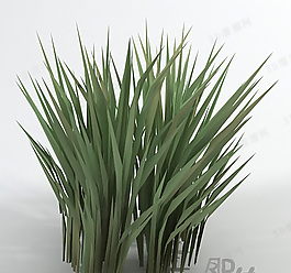 3D草模型