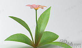 3D花草模型