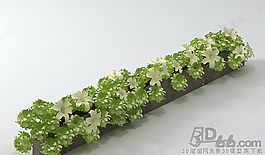 3D花草模型
