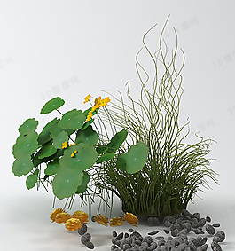 3D花草模型