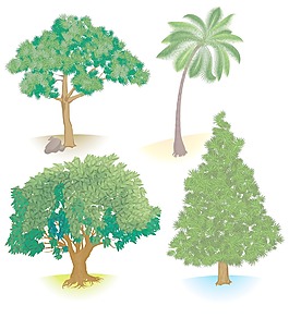 矢量樹