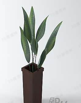 3D盆景模型