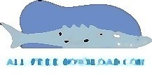 鯊魚19