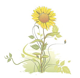 花藝設計