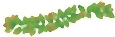 venok 4