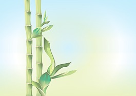竹枝向量