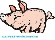 豬28