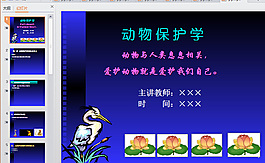 裝飾背景ppt