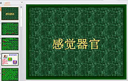 綠色底紋ppt