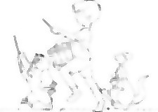 poohgroup 7