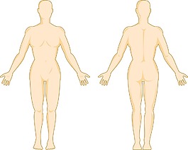 女性人體解剖站