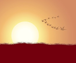 隨著夏天的鳥群背景矢量
