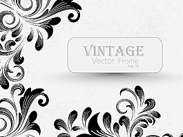 老式的插圖與創(chuàng)造性的花飾矢量