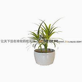 3D盆景模型