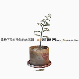 3D盆景模型