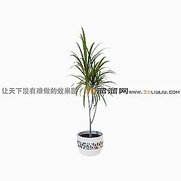 3D盆景模型