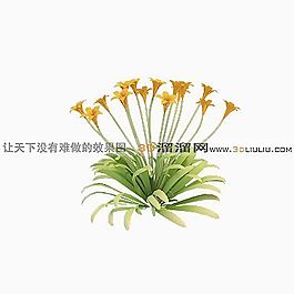3D花模型