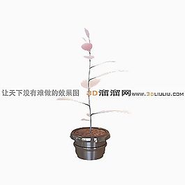 3D盆景模型