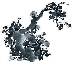 梅花孤傲