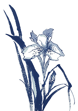 花卉裝飾