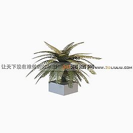 3D盆景模型