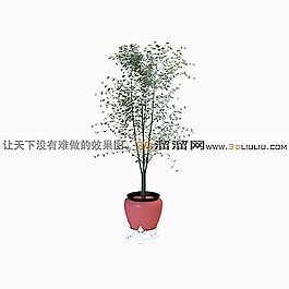 3D盆景模型