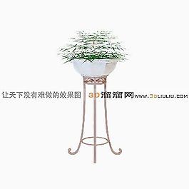 3D盆景模型
