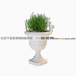 3D盆景模型
