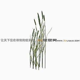 3D草模型