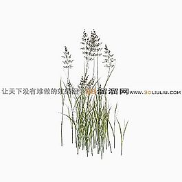 3D草模型
