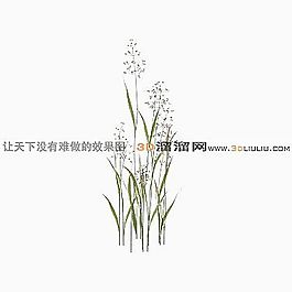 3D草模型