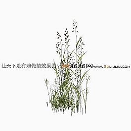 3D草模型